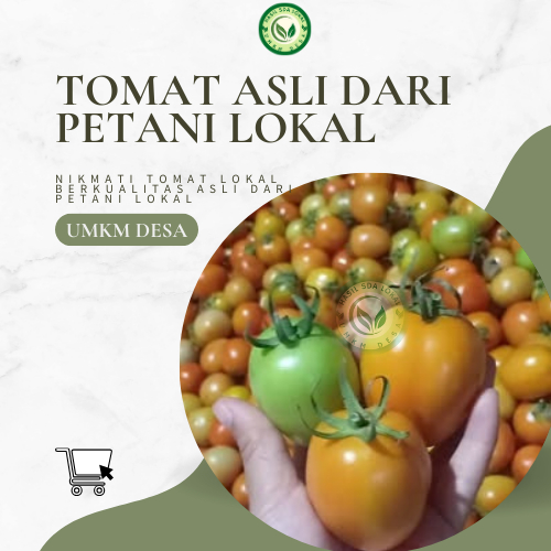 

Murah!!! Tomat Segar Asli dari Petani Lokal