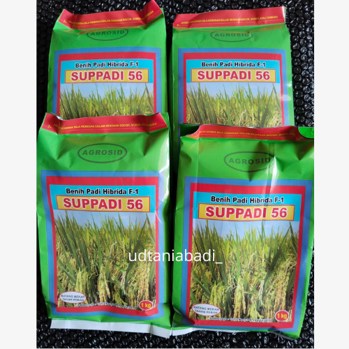 Supadi 56 F1 1 Kg Benih Padi Hibrida Agrosid