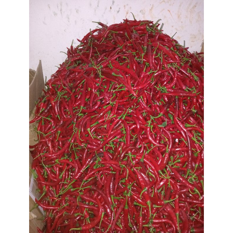 

cabe merah besar tw 1kg