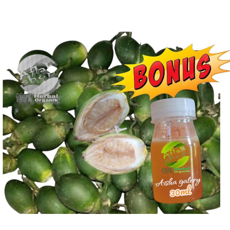

Buah pinang muda 5kg tambah bonus madu lebah asli dan murni 30ml