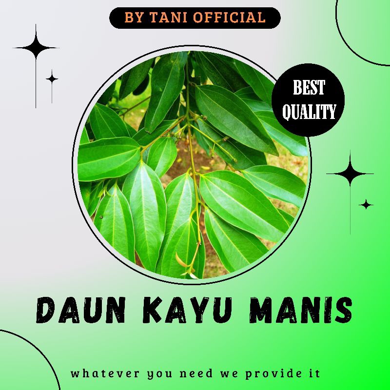 

Daun Rempah Segar / Daun Kayu Manis / Daun Cengkeh / Daun Surian / Daun Kopi Segar