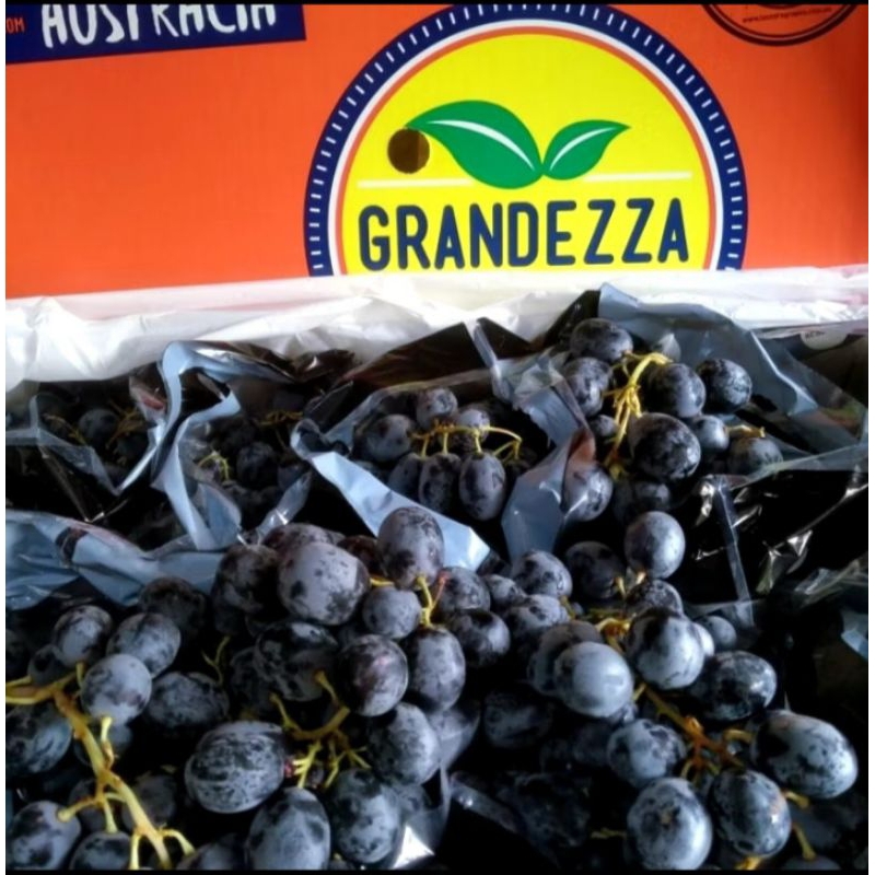 

Buah Anggur BLACK AUTUM Australia Tanpa Biji 1Kg