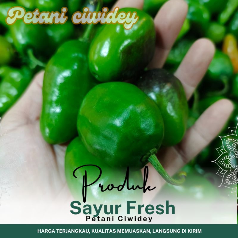 Cabai gendot HIJAU bandung 1 kg pengganti cabai rawit
