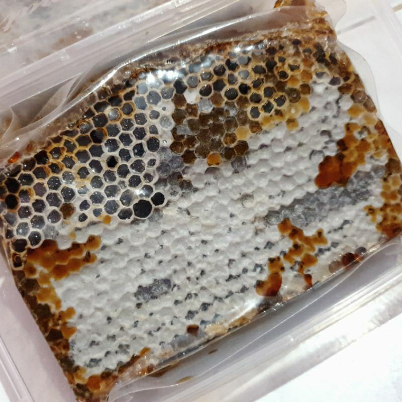 

madu sarang carva murni / honeycomb