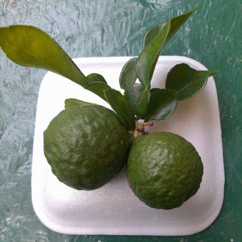 

Jeruk Purut Segar 500 gr
