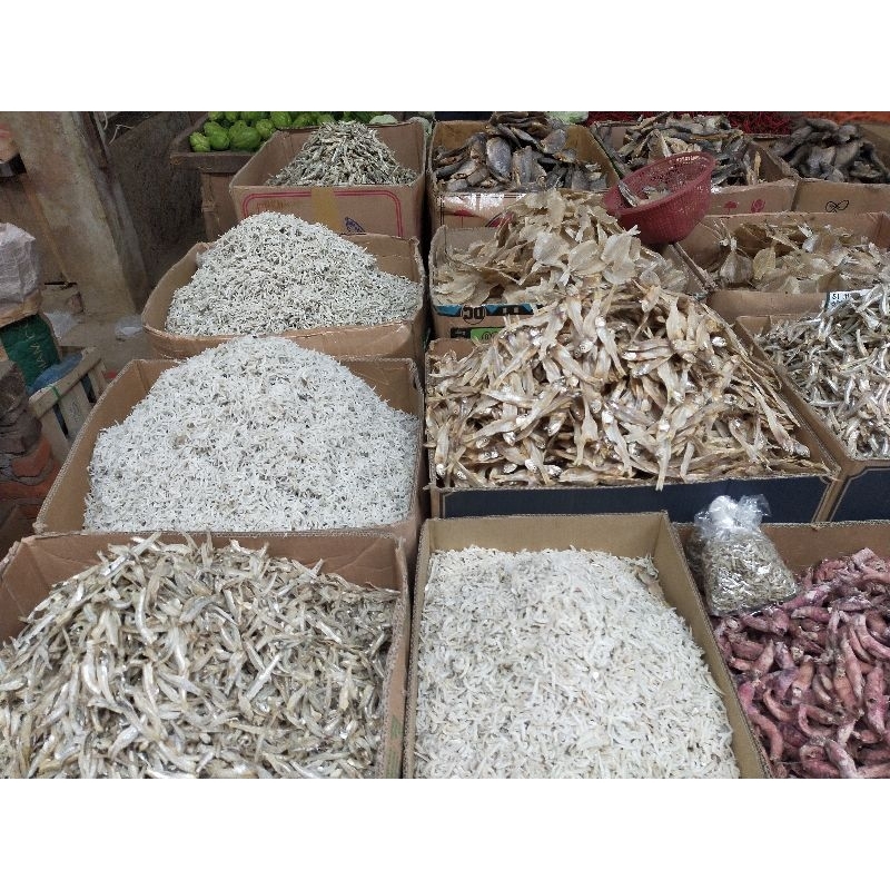 

Teri Medan