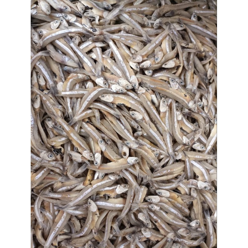 

Ikan Teri Jengki kering/ikan asin/ikan teri asin kualitas premium harga termurah