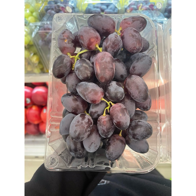 Anggur autumn royal australia fresh 1kg