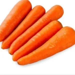 

Wortel Berastagi 500 Gram