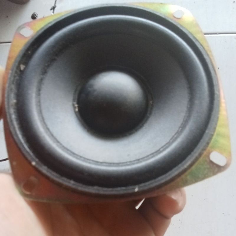 speker 4"