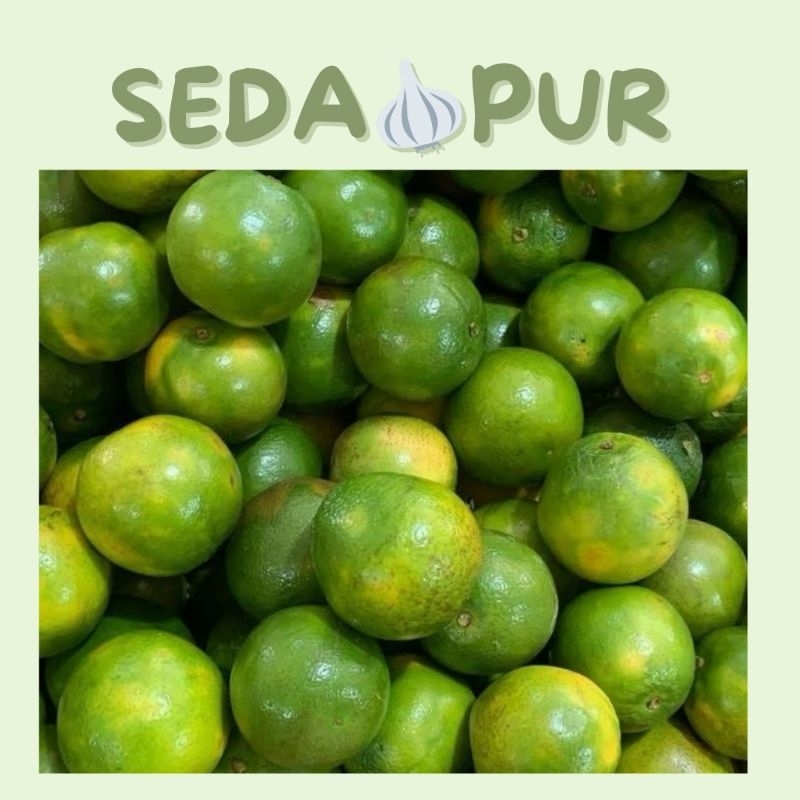 

JERUK NIPIS SEGAR