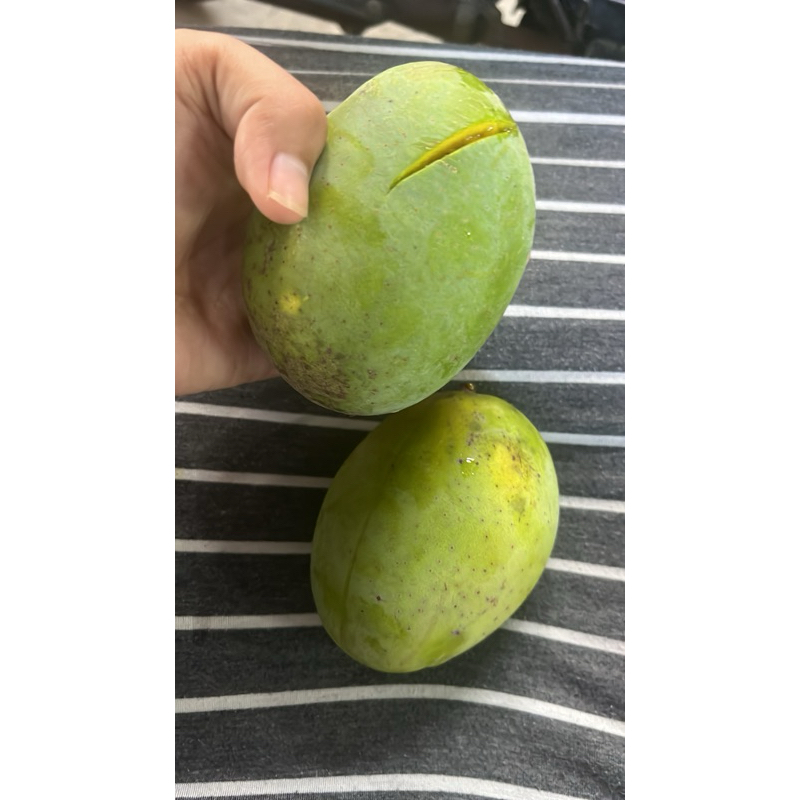 

Kuinimanis