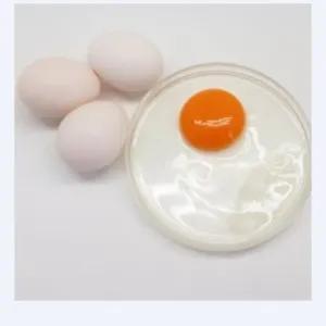 

Telor Ayam Omega 1 Butir