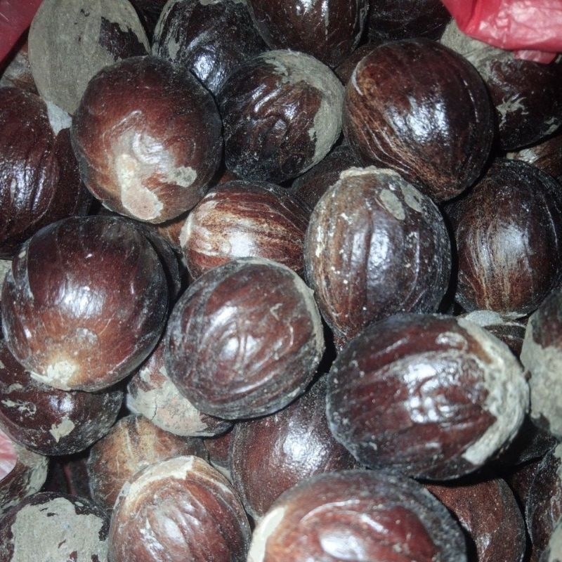 

Biji Pala Kering, atau Rempah Bumbu Pala Kering, Buah Pala