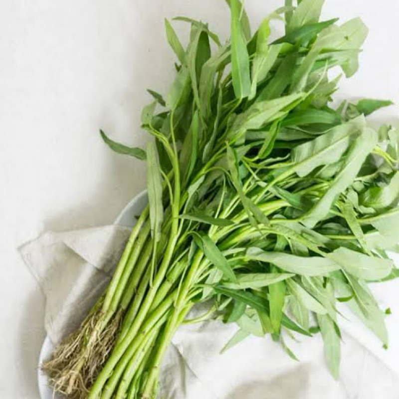 

KANGKUNG AKAR 1 IKAT