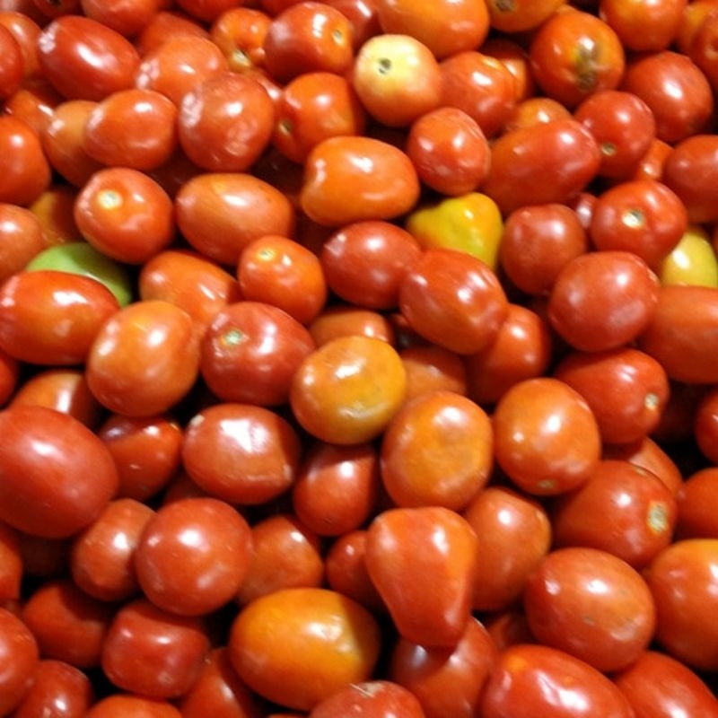 

tomatmerah/500gram