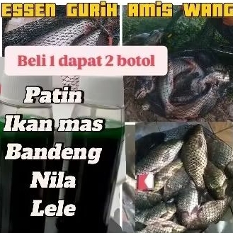 Raja Patin Essen Hijau