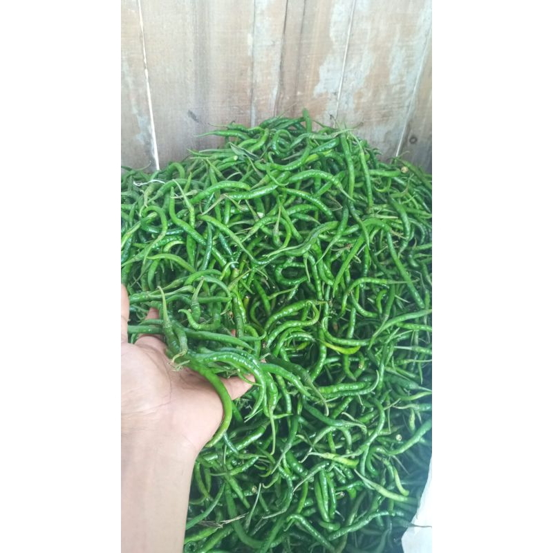 

cabe ijo kriting 500grm_1kg cabe kriting ijo