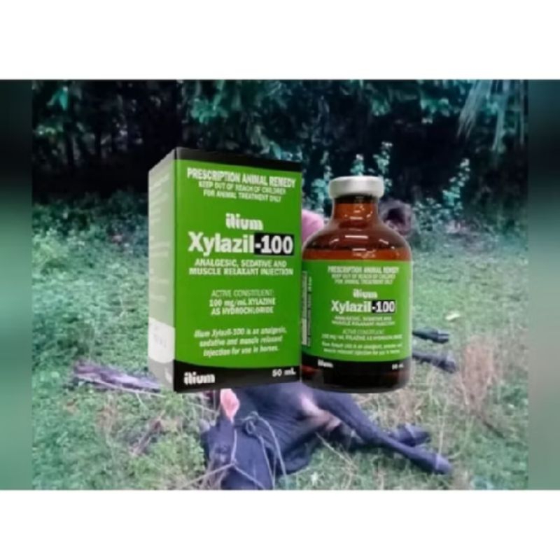 XYLAZIL-100-ILIUM AMPUH ASLI ORIGINAL