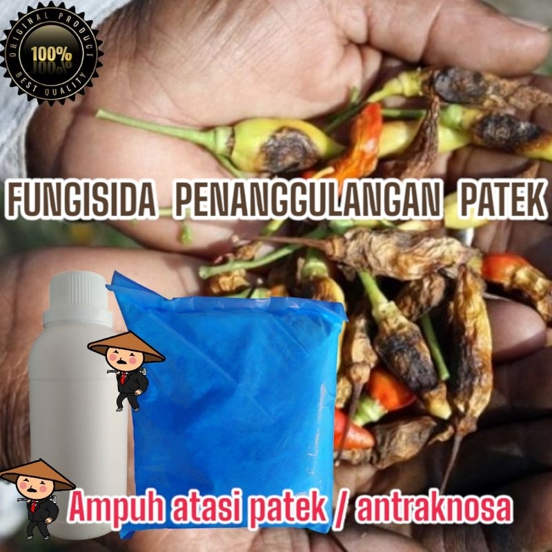 RACIKAN SAHABAT TANI 250 ML + RACIKAN SAHABAT TANI 100 GRAM - FUNGISIDA PENANGGULANGAN PATEK