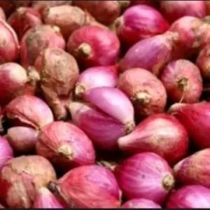 

Bawang Merah 100 g