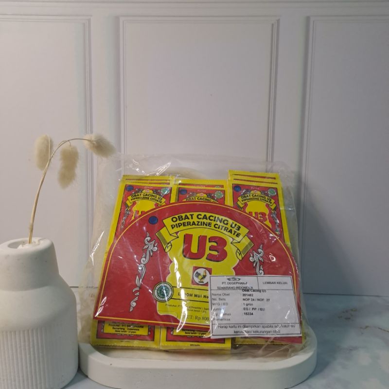 

Puyer U3 Obat Cacing 1 Gross Jamu Jago