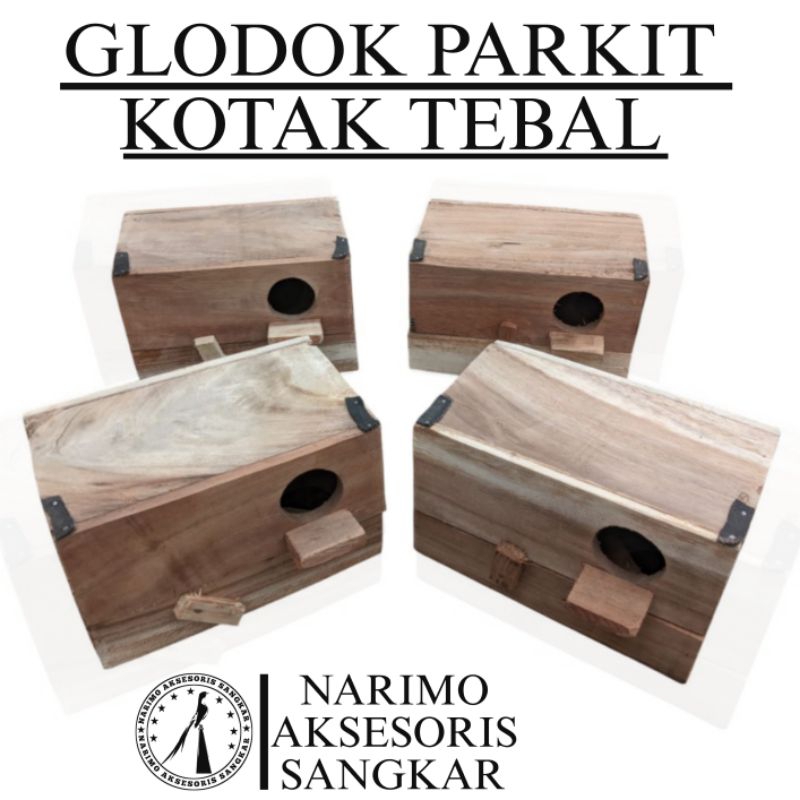 Glodok parkit kotak Lovebird tebal