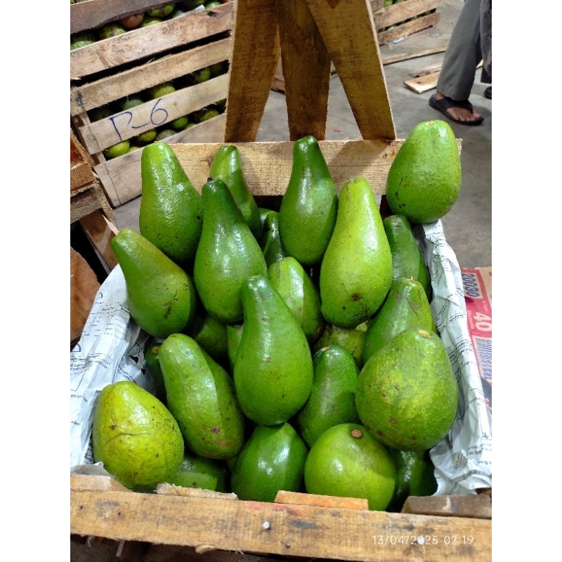 

Alpukat Mentega super jumbo 1 kg isi 2 - 3 biji