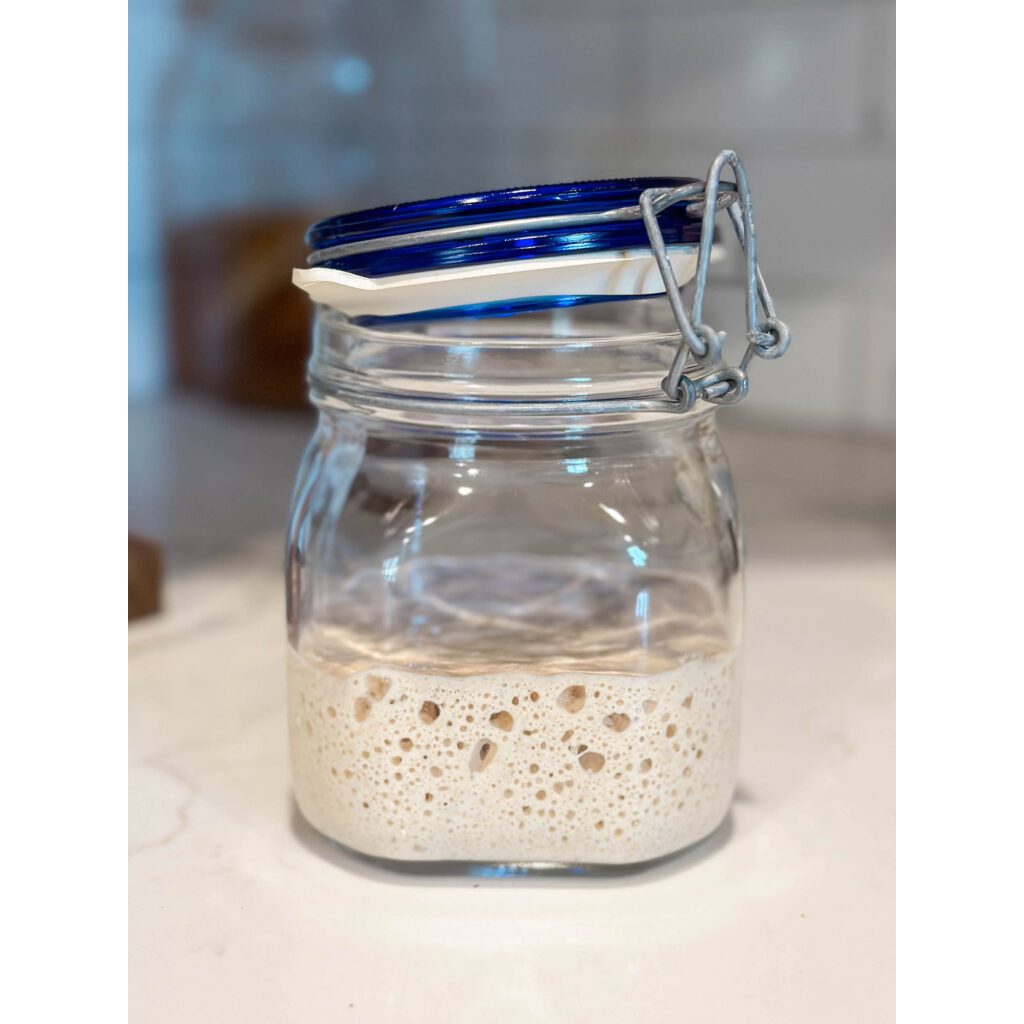

Ragi Alami untuk Roti Sourdough (Starter/Wild Yeast)