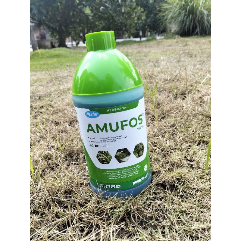 obat rumput Herbisida Amufos  daun keras lulangan