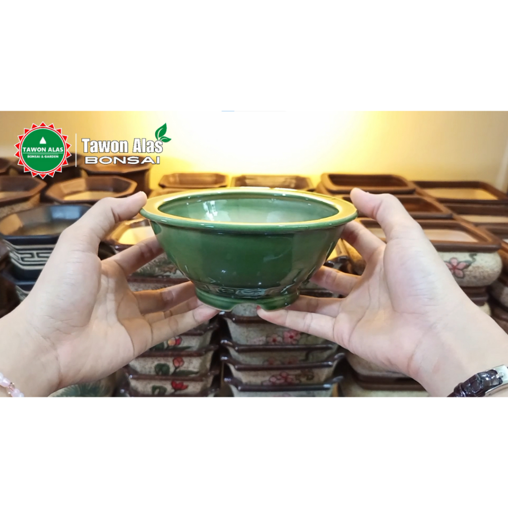 Pot Keramik Bonsai Bundar Bulat Unik