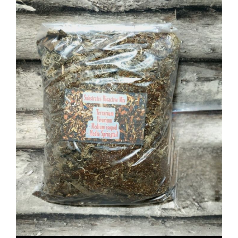 Substratez Bioactive vivarium isopoda Sringtail tarantula kalajengking