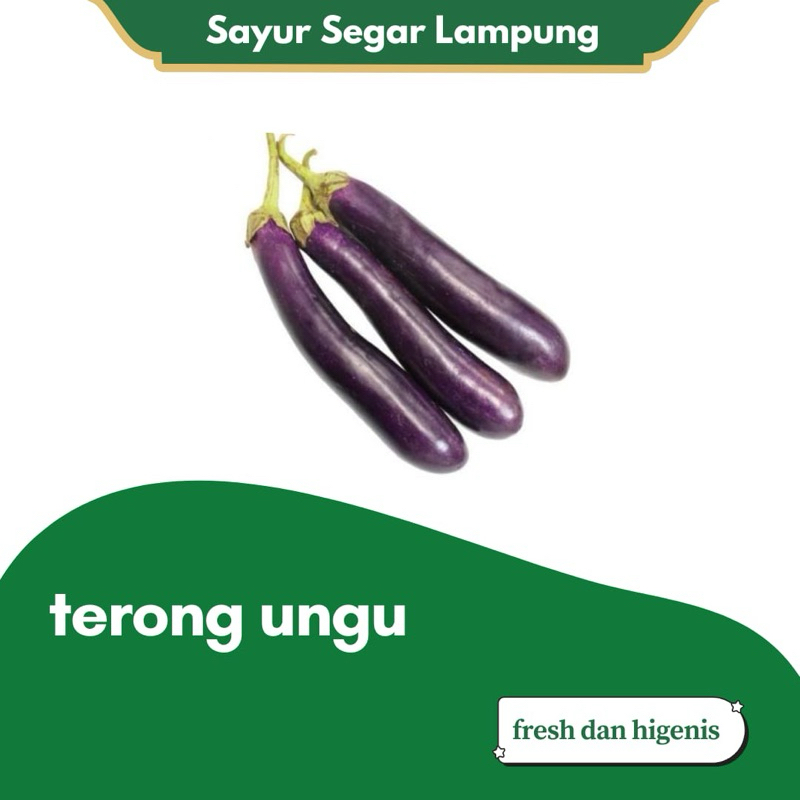 

Terong Ungu Sayur Lalap Segar