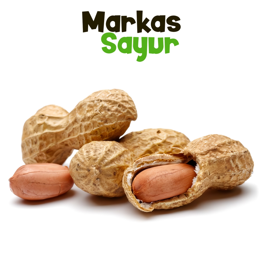 

Kacang Tanah - Markas Sayur