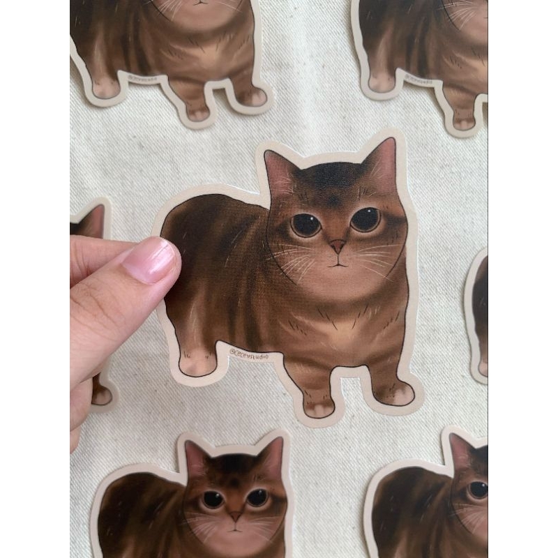 

Sticker vinyl sticker laptop sticker tumblr laminasi doff die cut (satuan)