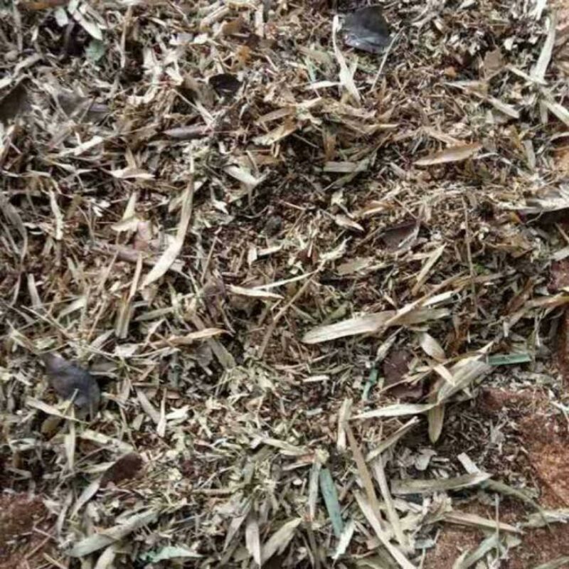 Media tanah humus bambu organik 1kg