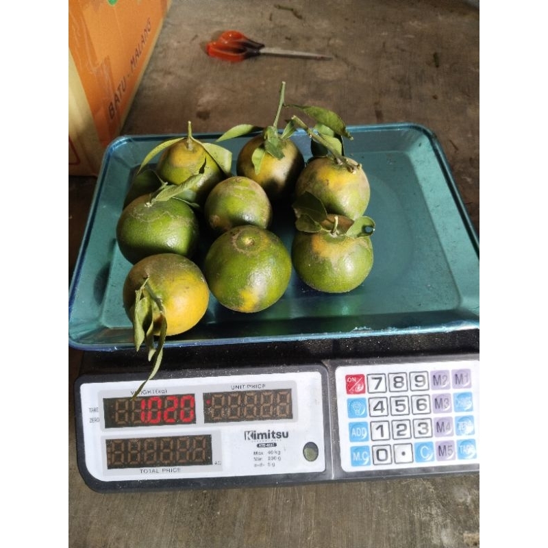 

jeruk siem madu 1kg/isi 8-13 buah/jeruk fresh malang