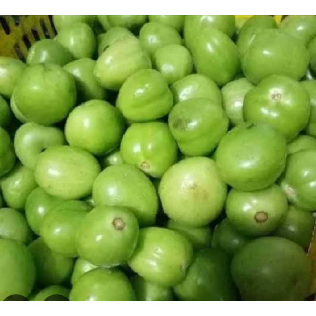 

Tomat Hijau Segar 250gr