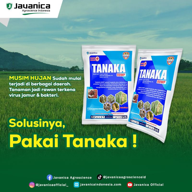 TANAKA (Fungisida dan Bakterisida)