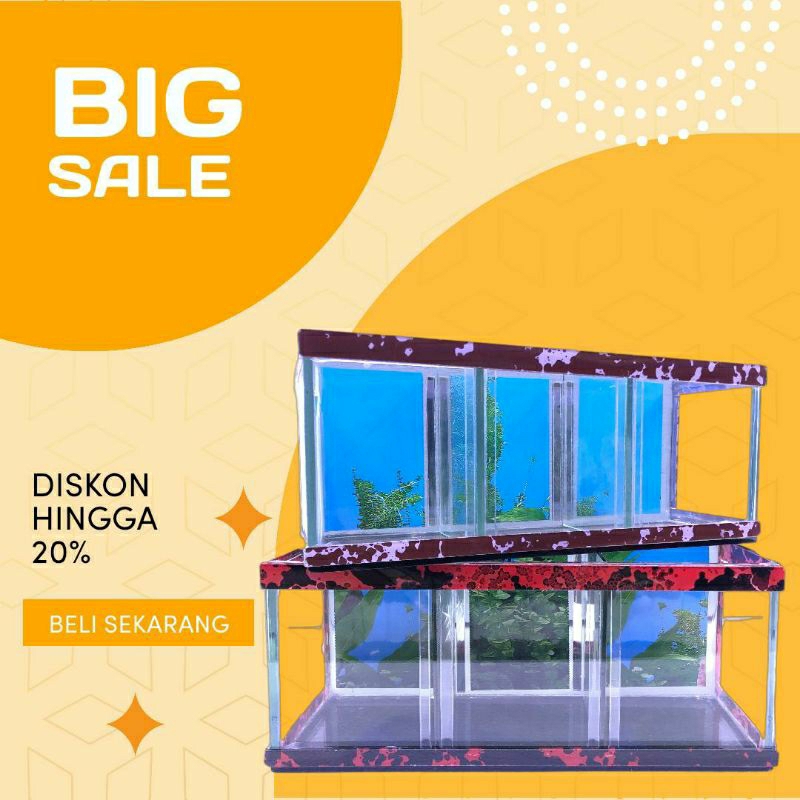 AQUARIUM KACA MINI 30X10X12 / AQUARIUM IKAN CUPANG / Aquarium motif sekat 3