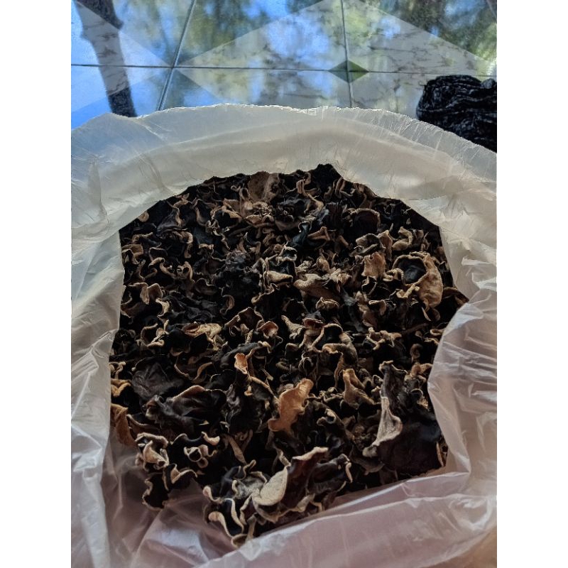 

jamur kuping kering hitam 750gram