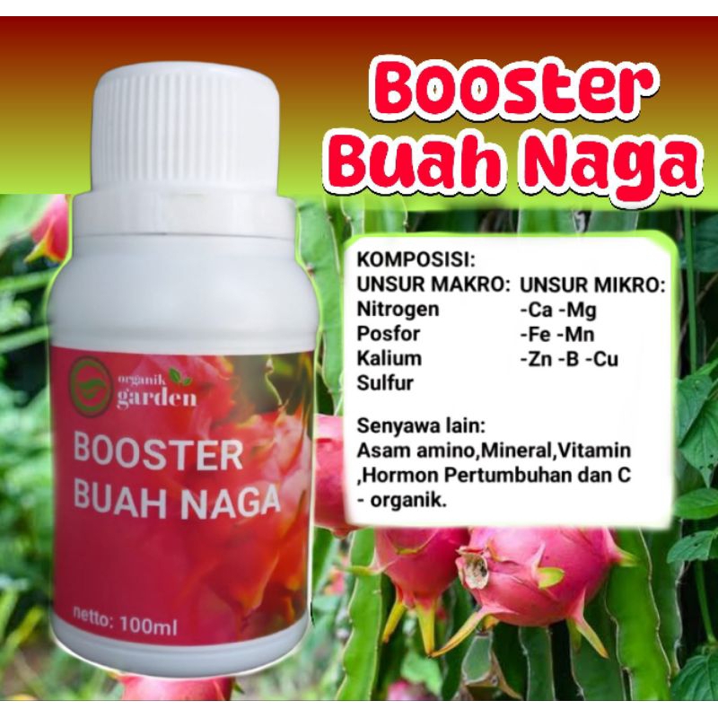 Pupuk cair buah naga pupuk booster buah naga