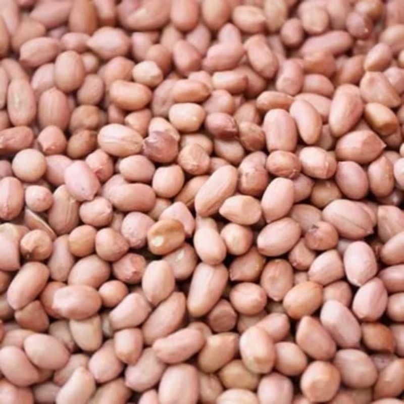 

Kacang tanah india kemasan 500g dan 1000g (1kg) Repack