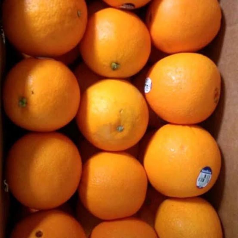 

Jeruk sunkist navel segar 500gram/ buah jeruk navel segar 500gram