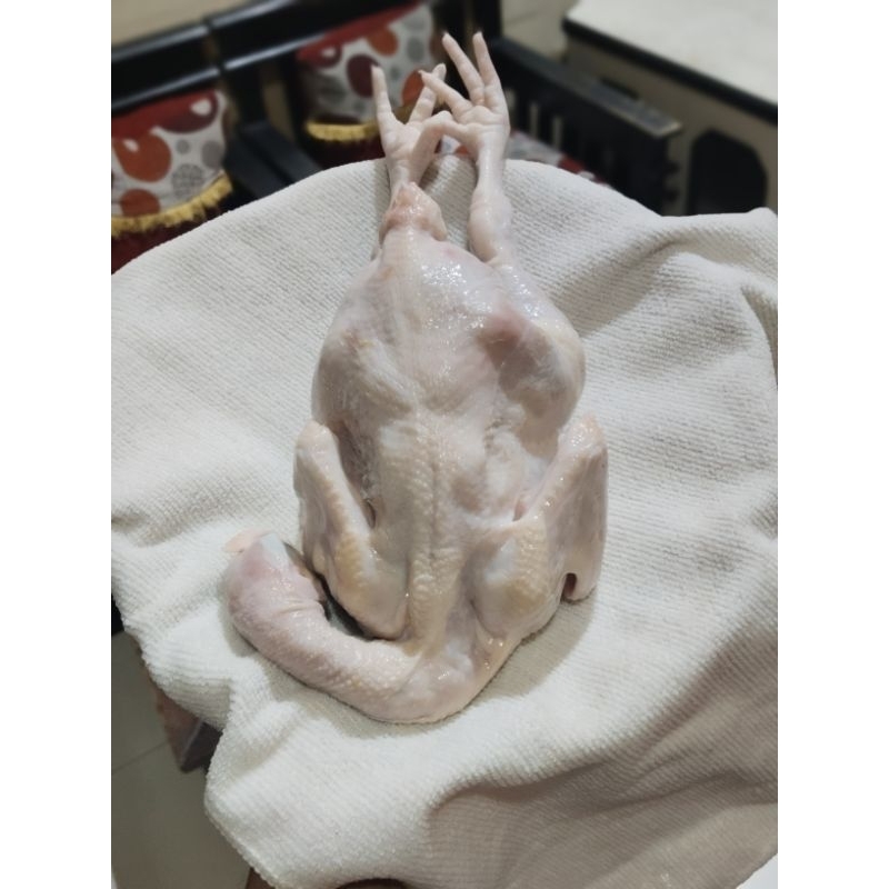 

Ayam Broiler Utuh