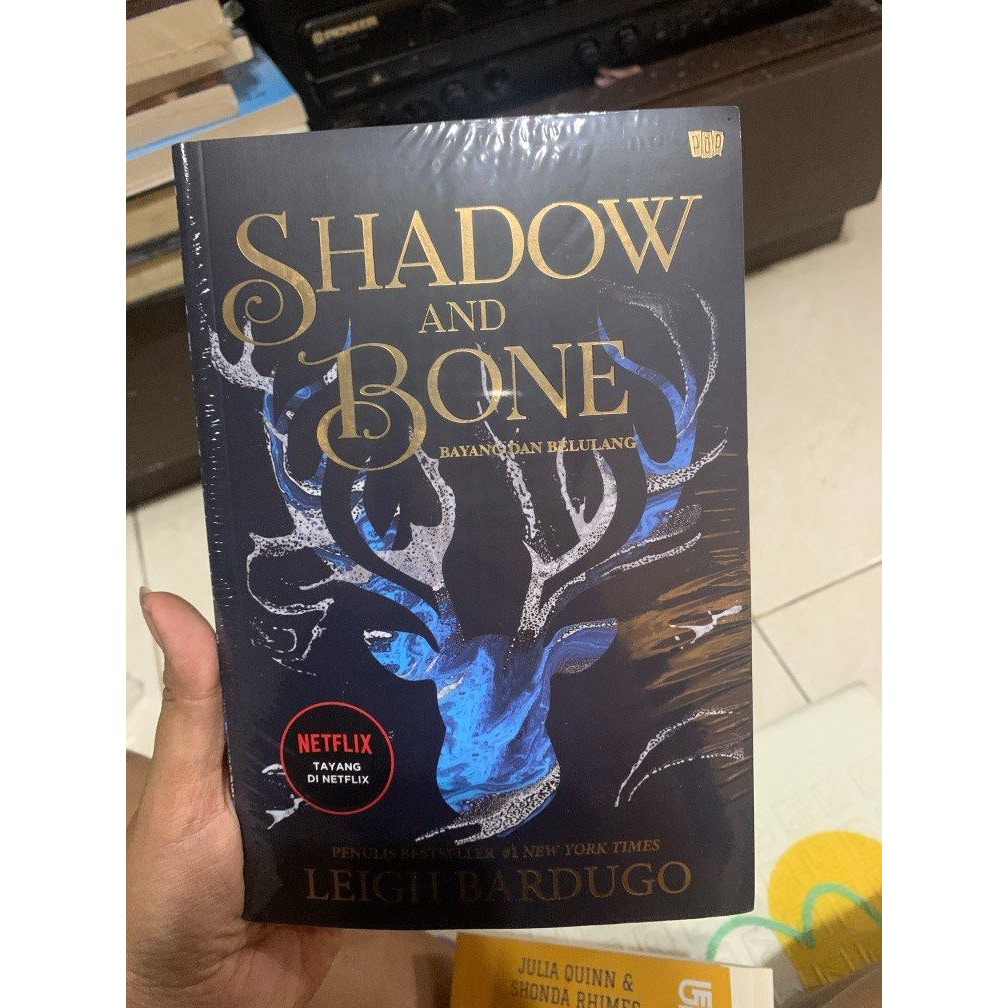 BUKU SHADOW AND BONE