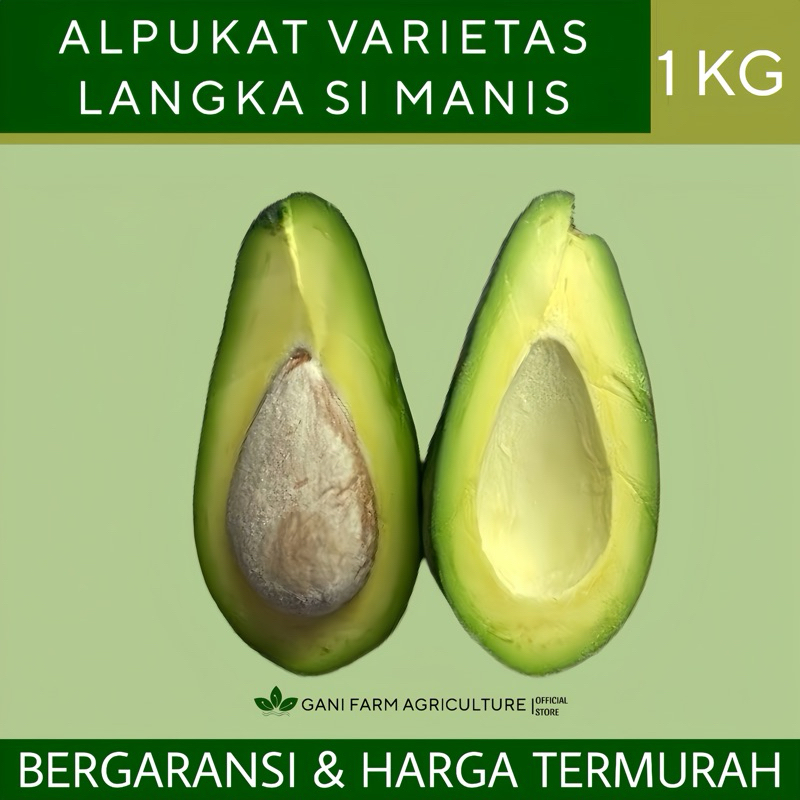 

ALPUKAT MENTEGA (LANGKA) SI MANIS PREMIUM SUPER 1 KG BERGARANSI . ISI 3-5 Alpukat