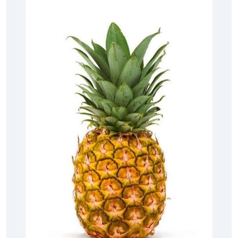 

Buah Nanas Segar 1 Buah - Rizal Market