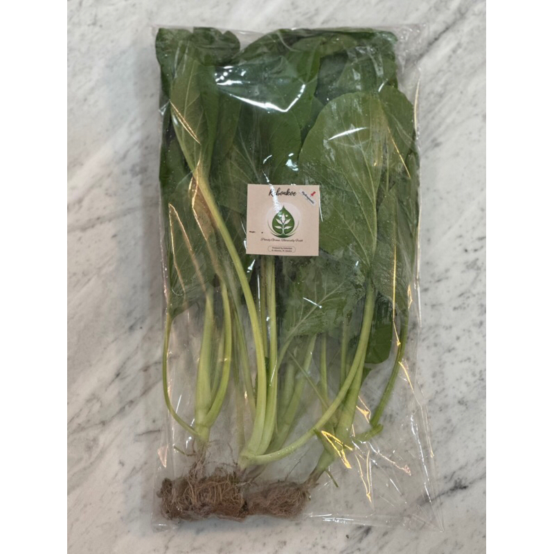 

Caysim Sayuran Hydroponic Greenhouse per 250g