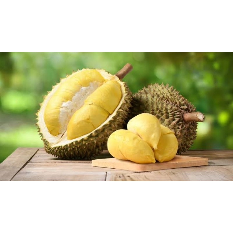 

Durian Kupas Medan Premium Frozen